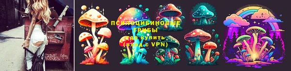 PSILOCYBIN Медногорск