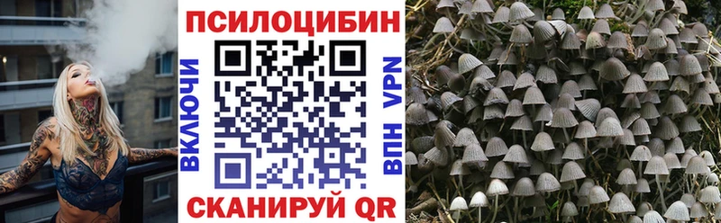 Галлюциногенные грибы MAGIC MUSHROOMS  Арзамас 