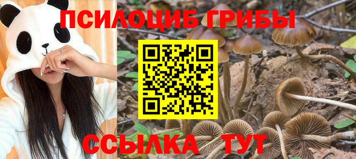 Галлюциногенные грибы MAGIC MUSHROOMS  Вход с VPN  Арзамас 
