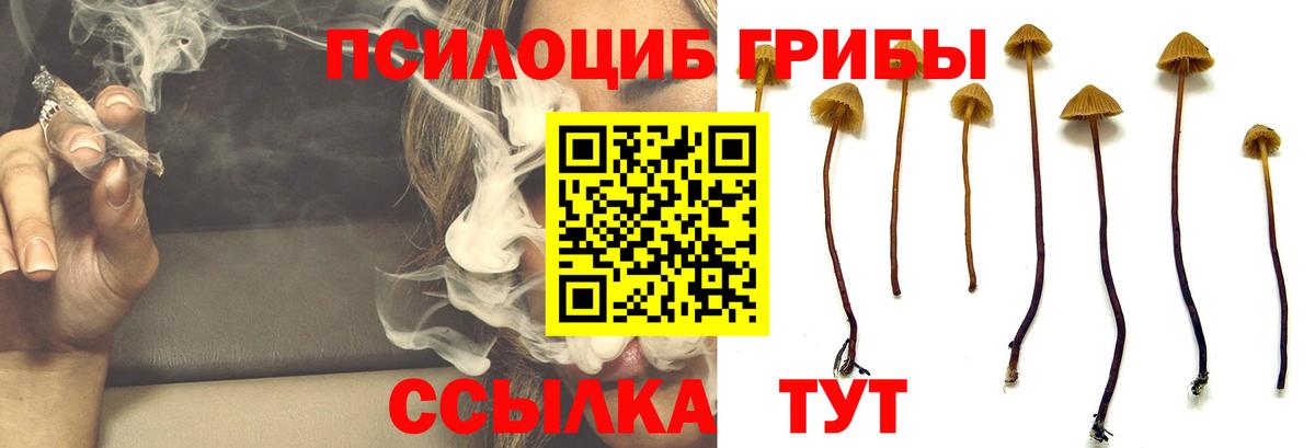 Галлюциногенные грибы ЛСД Арзамас